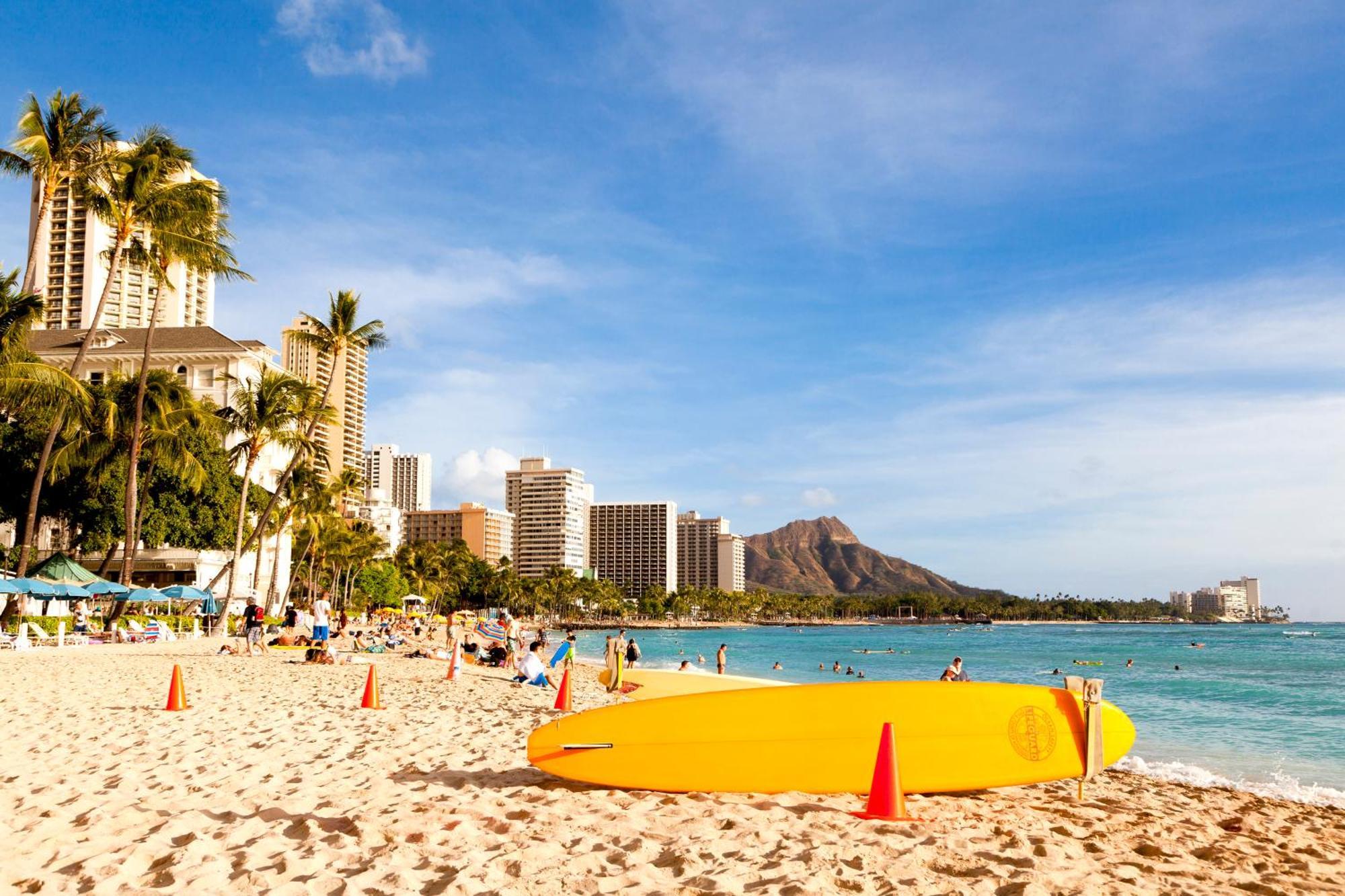 Beautiful Studio In The Heart Of Vibrant Waikiki Lägenhet Honolulu Exteriör bild