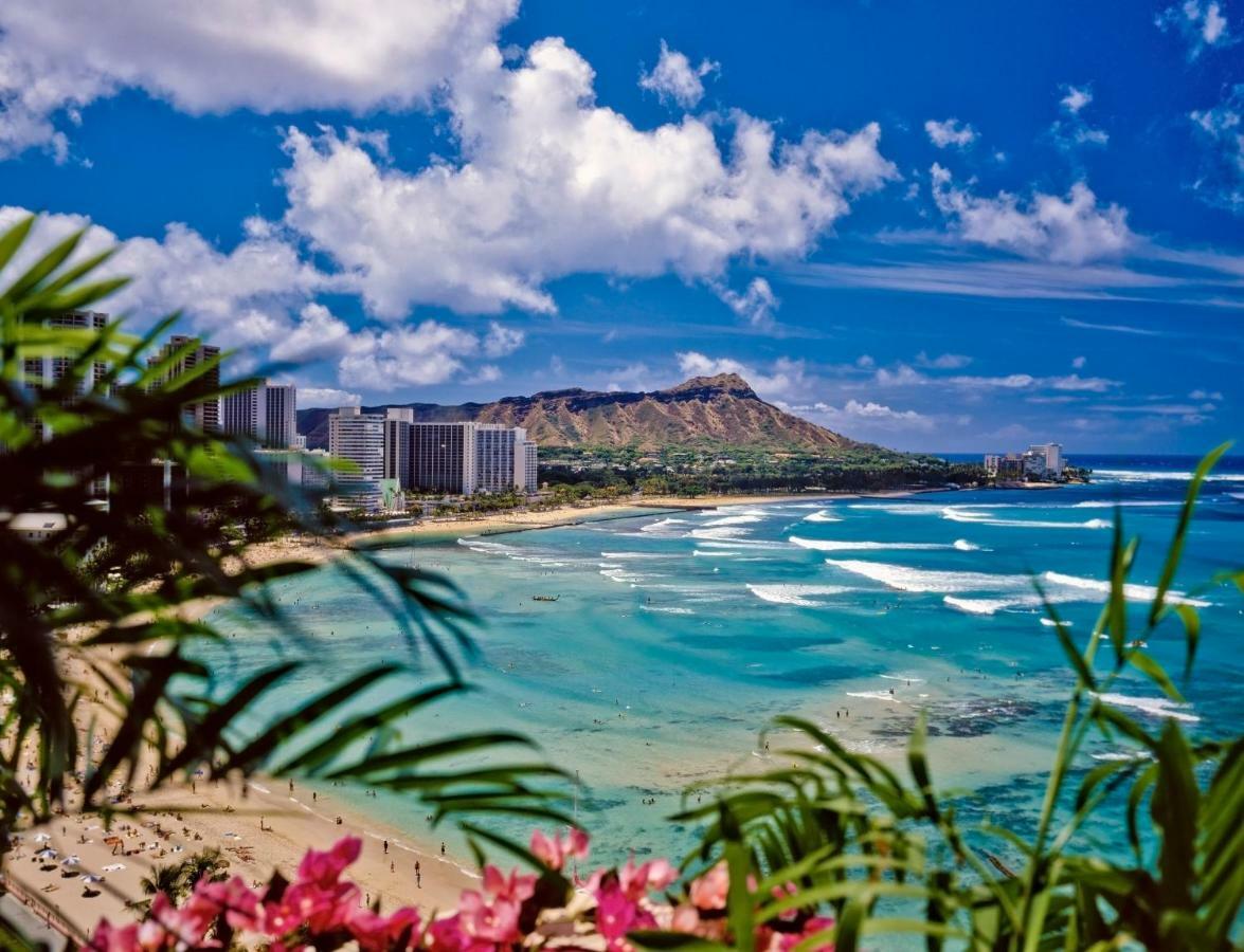 Beautiful Studio In The Heart Of Vibrant Waikiki Honolulu Exteriör bild