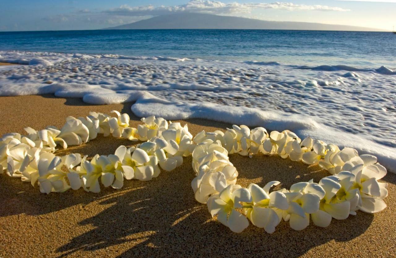 Beautiful Studio In The Heart Of Vibrant Waikiki Honolulu Exteriör bild