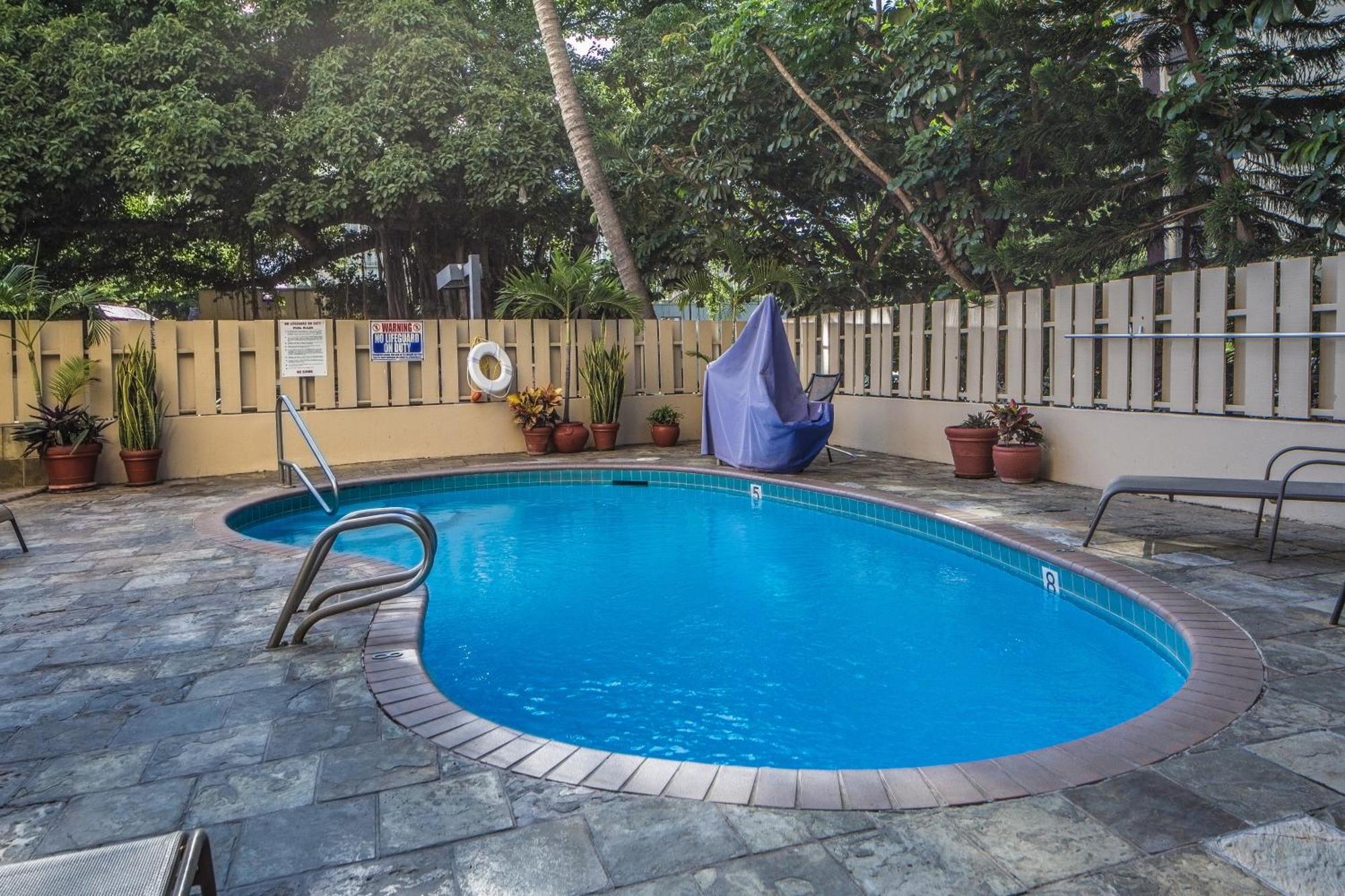 Beautiful Studio In The Heart Of Vibrant Waikiki Honolulu Exteriör bild